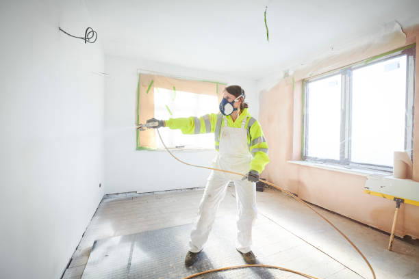  Pahrump, NV Mold Removal Pros