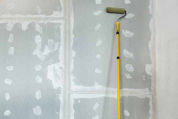 Best Comprehensive Air Testing for Mold Contaminants  in Pahrump, NV