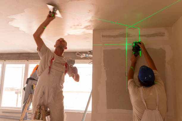 Professional Mold Removal in Pahrump, NV